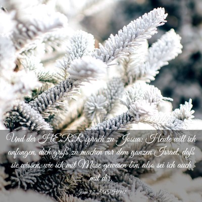 Picture 03 - Josua 3:7 LUTH1912 - Und der HERR sprach zu Josua: Heute will ich - Bible Verse Picture