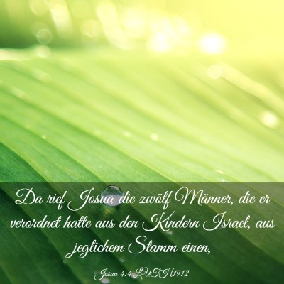 Picture 03 - Josua 4:4 LUTH1912 - Da rief Josua die zwölf Männer, die er - Bible Verse Picture