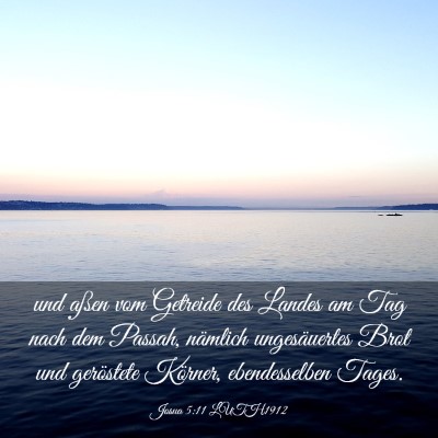Picture 03 - Josua 5:11 LUTH1912 - und aßen vom Getreide des Landes am Tag nach dem - Bible Verse Picture