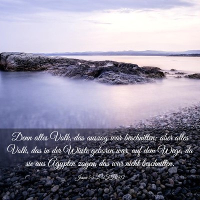 Picture 03 - Josua 5:5 LUTH1912 - Denn alles Volk, das auszog war beschnitten; aber - Bible Verse Picture