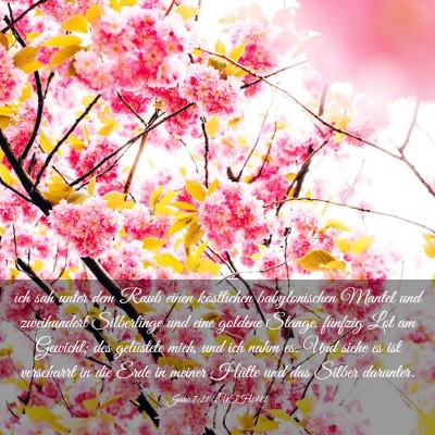 Picture 03 - Josua 7:21 LUTH1912 - ich sah unter dem Raub einen köstlichen - Bible Verse Picture