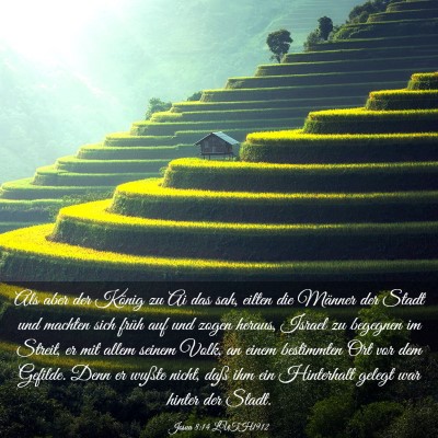 Picture 03 - Josua 8:14 LUTH1912 - Als aber der König zu Ai das sah, eilten die - Bible Verse Picture