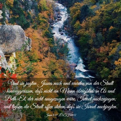 Picture 03 - Josua 8:17 LUTH1912 - Und sie jagten Josua nach und wurden von der - Bible Verse Picture