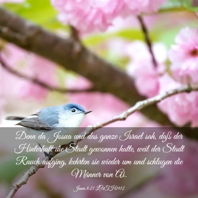 Picture 03 - Josua 8:21 LUTH1912 - Denn da Josua und das ganze Israel sah, daß der - Bible Verse Picture