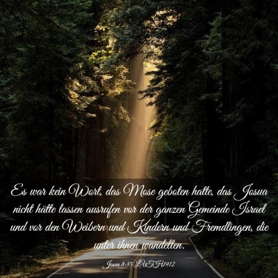 Picture 03 - Josua 8:35 LUTH1912 - Es war kein Wort, das Mose geboten hatte, das - Bible Verse Picture