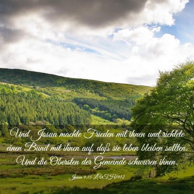 Picture 03 - Josua 9:15 LUTH1912 - Und Josua machte Frieden mit ihnen und richtete - Bible Verse Picture