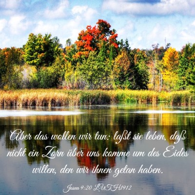Picture 03 - Josua 9:20 LUTH1912 - Aber das wollen wir tun: laßt sie leben, daß - Bible Verse Picture
