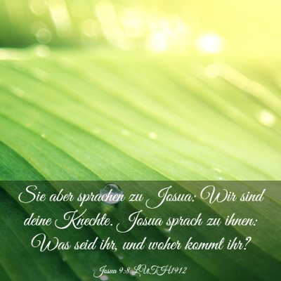 Picture 03 - Josua 9:8 LUTH1912 - Sie aber sprachen zu Josua: Wir sind deine - Bible Verse Picture