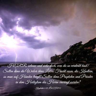 Picture 03 - Klagelieder 2:20 LUTH1912 - HERR, schaue und siehe doch, wen du so verderbt - Bible Verse Picture