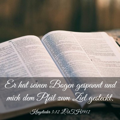 Picture 03 - Klagelieder 3:12 LUTH1912 - Er hat seinen Bogen gespannt und mich dem Pfeil - Bible Verse Picture