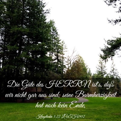 Picture 03 - Klagelieder 3:22 LUTH1912 - Die Güte des HERRN ist's, daß wir nicht gar aus - Bible Verse Picture