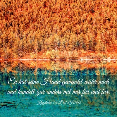 Picture 03 - Klagelieder 3:3 LUTH1912 - Er hat seine Hand gewendet wider mich und handelt - Bible Verse Picture