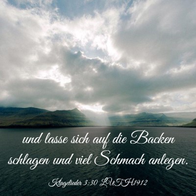Picture 03 - Klagelieder 3:30 LUTH1912 - und lasse sich auf die Backen schlagen und viel - Bible Verse Picture
