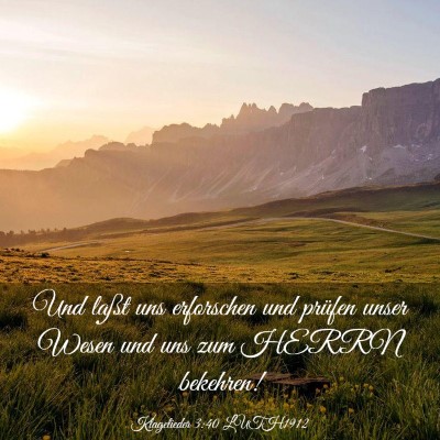 Picture 03 - Klagelieder 3:40 LUTH1912 - Und laßt uns erforschen und prüfen unser Wesen - Bible Verse Picture