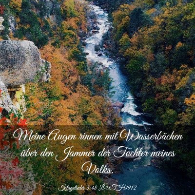 Picture 03 - Klagelieder 3:48 LUTH1912 - Meine Augen rinnen mit Wasserbächen über den - Bible Verse Picture