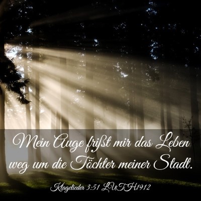 Picture 03 - Klagelieder 3:51 LUTH1912 - Mein Auge frißt mir das Leben weg um die - Bible Verse Picture