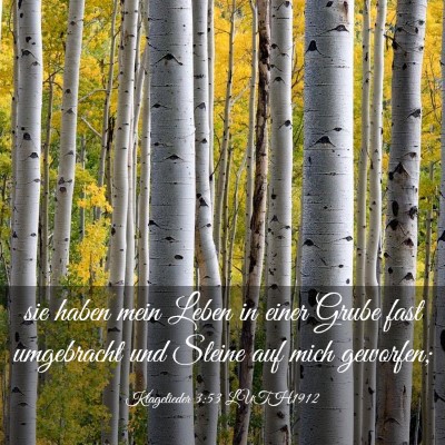 Picture 03 - Klagelieder 3:53 LUTH1912 - sie haben mein Leben in einer Grube fast - Bible Verse Picture