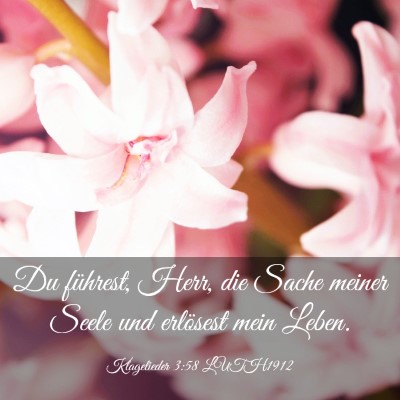 Picture 03 - Klagelieder 3:58 LUTH1912 - Du führest, Herr, die Sache meiner Seele und - Bible Verse Picture