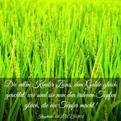 Picture 03 - Klagelieder 4:2 LUTH1912 - Die edlen Kinder Zions, dem Golde gleich - Bible Verse Picture