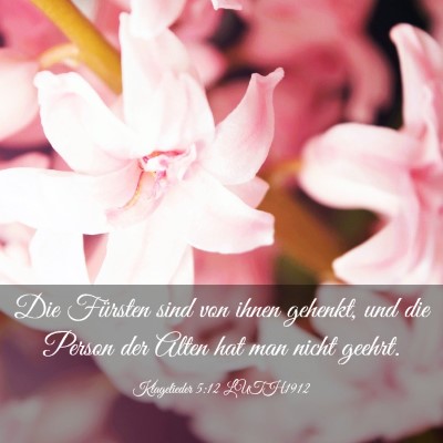 Picture 03 - Klagelieder 5:12 LUTH1912 - Die Fürsten sind von ihnen gehenkt, und die - Bible Verse Picture