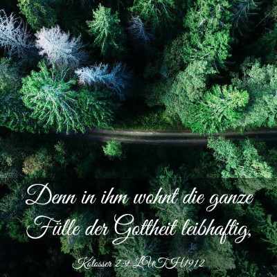 Picture 03 - Kolosser 2:9 LUTH1912 - Denn in ihm wohnt die ganze Fülle der Gottheit - Bible Verse Picture