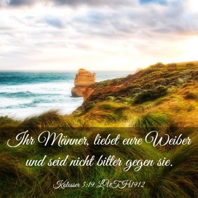 Picture 03 - Kolosser 3:19 LUTH1912 - Ihr Männer, liebet eure Weiber und seid nicht - Bible Verse Picture