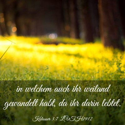 Picture 03 - Kolosser 3:7 LUTH1912 - in welchem auch ihr weiland gewandelt habt, da - Bible Verse Picture