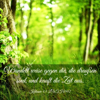 Picture 03 - Kolosser 4:5 LUTH1912 - Wandelt weise gegen die, die draußen sind, und - Bible Verse Picture