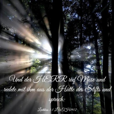 Picture 03 - Levitikus 1:1 LUTH1912 - Und der HERR rief Mose und redete mit ihm aus der - Bible Verse Picture
