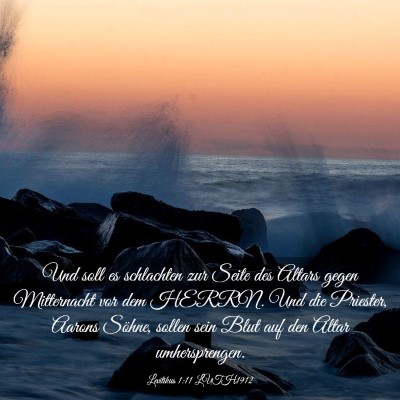 Picture 03 - Levitikus 1:11 LUTH1912 - Und soll es schlachten zur Seite des Altars gegen - Bible Verse Picture
