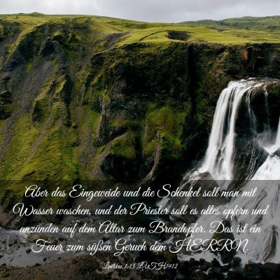 Picture 03 - Levitikus 1:13 LUTH1912 - Aber das Eingeweide und die Schenkel soll man mit - Bible Verse Picture