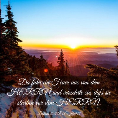 Picture 03 - Levitikus 10:2 LUTH1912 - Da fuhr ein Feuer aus von dem HERRN und verzehrte - Bible Verse Picture