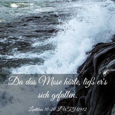 Picture 03 - Levitikus 10:20 LUTH1912 - Da das Mose hörte, ließ er's sich - Bible Verse Picture