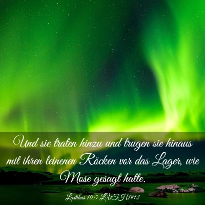 Picture 03 - Levitikus 10:5 LUTH1912 - Und sie traten hinzu und trugen sie hinaus mit - Bible Verse Picture