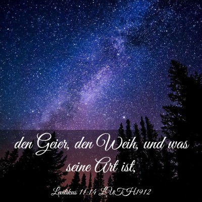 Picture 03 - Levitikus 11:14 LUTH1912 - den Geier, den Weih, und was seine Art - Bible Verse Picture