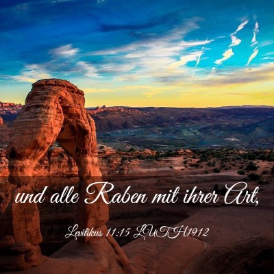Picture 03 - Levitikus 11:15 LUTH1912 - und alle Raben mit ihrer - Bible Verse Picture