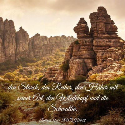 Picture 03 - Levitikus 11:19 LUTH1912 - den Storch, den Reiher, den Häher mit seiner - Bible Verse Picture
