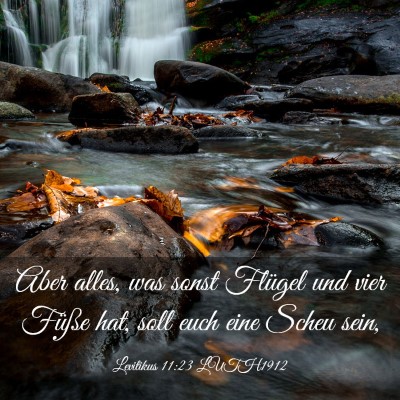 Picture 03 - Levitikus 11:23 LUTH1912 - Aber alles, was sonst Flügel und vier Füße - Bible Verse Picture