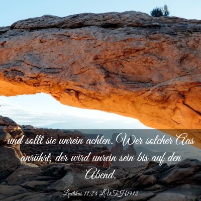 Picture 03 - Levitikus 11:24 LUTH1912 - und sollt sie unrein achten. Wer solcher Aas - Bible Verse Picture