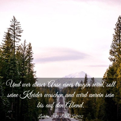 Picture 03 - Levitikus 11:25 LUTH1912 - Und wer dieser Aase eines tragen wird, soll seine - Bible Verse Picture