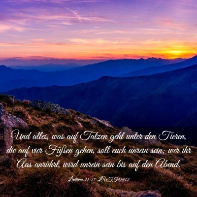 Picture 03 - Levitikus 11:27 LUTH1912 - Und alles, was auf Tatzen geht unter den Tieren, - Bible Verse Picture