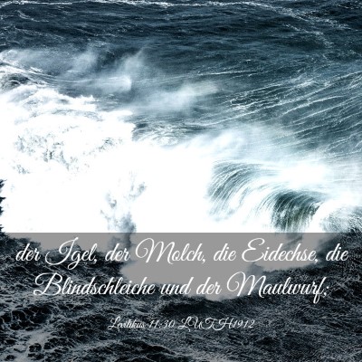 Picture 03 - Levitikus 11:30 LUTH1912 - der Igel, der Molch, die Eidechse, die - Bible Verse Picture