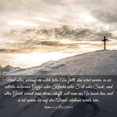 Picture 03 - Levitikus 11:32 LUTH1912 - Und alles, worauf ein solch totes Aas fällt, das - Bible Verse Picture