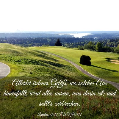 Picture 03 - Levitikus 11:33 LUTH1912 - Allerlei irdenes Gefäß, wo solcher Aas - Bible Verse Picture