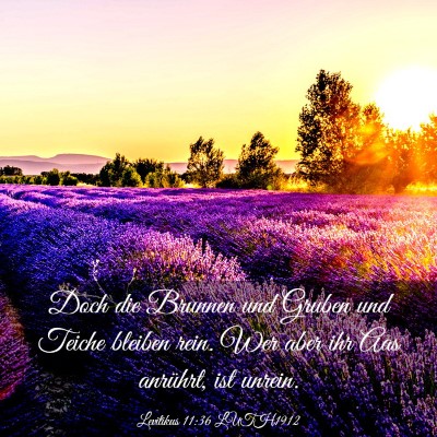 Picture 03 - Levitikus 11:36 LUTH1912 - Doch die Brunnen und Gruben und Teiche bleiben - Bible Verse Picture
