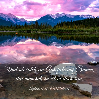 Picture 03 - Levitikus 11:37 LUTH1912 - Und ob solch ein Aas fiele auf Samen, den man - Bible Verse Picture
