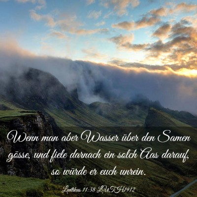 Picture 03 - Levitikus 11:38 LUTH1912 - Wenn man aber Wasser über den Samen gösse, und - Bible Verse Picture