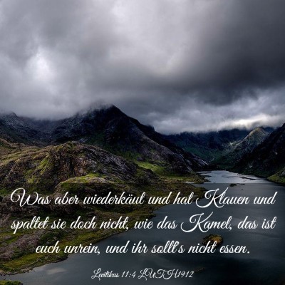 Picture 03 - Levitikus 11:4 LUTH1912 - Was aber wiederkäut und hat Klauen und spaltet - Bible Verse Picture