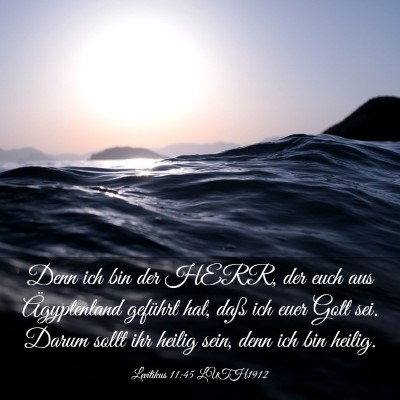 Picture 03 - Levitikus 11:45 LUTH1912 - Denn ich bin der HERR, der euch aus Ägyptenland - Bible Verse Picture
