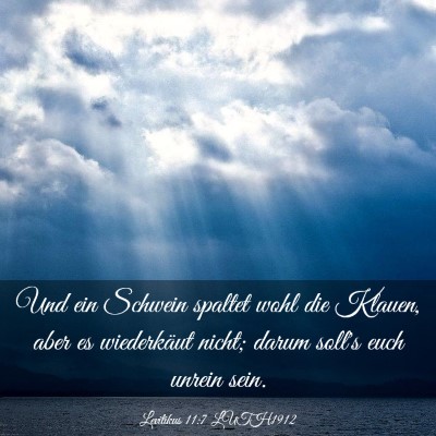 Picture 03 - Levitikus 11:7 LUTH1912 - Und ein Schwein spaltet wohl die Klauen, aber es - Bible Verse Picture